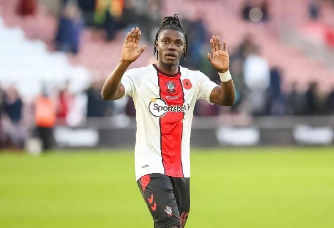 草莓av进入